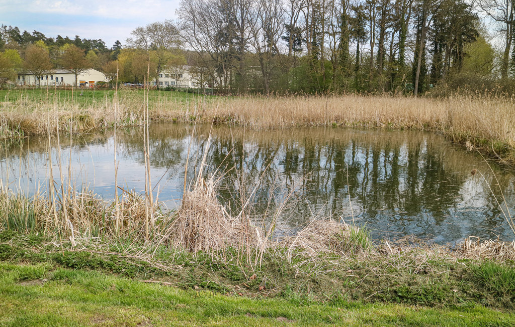 Ferieleilighet - Krakow am See , Tyskland - DMV548 8