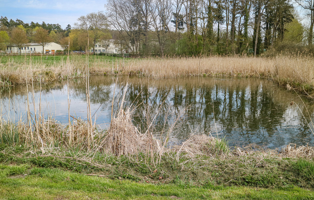 Ferieleilighet - Krakow am See , Tyskland - DMV549 9