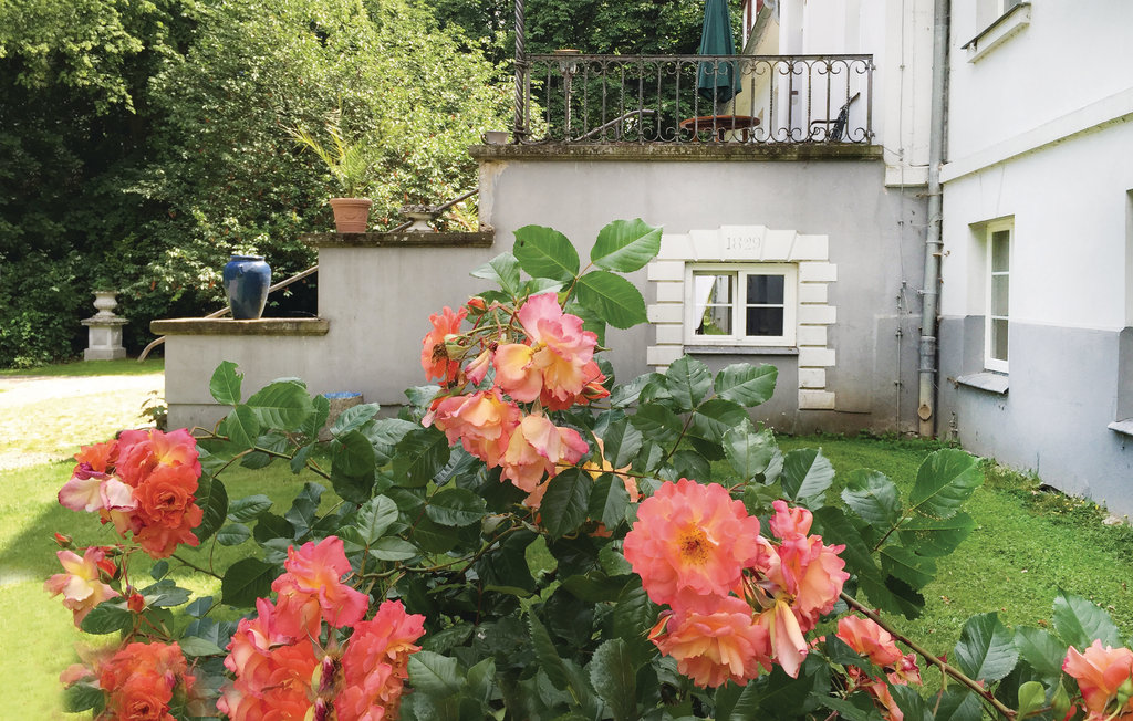 Ferienhaus - Gutshaus Gross Markow , Deutschland - DMV280 15