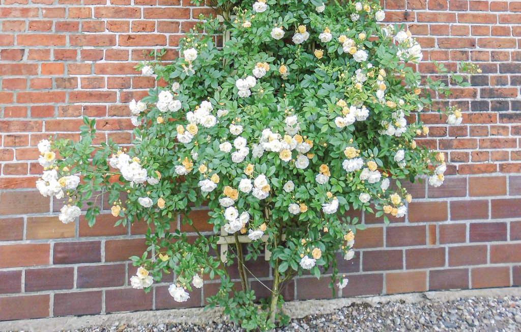 Ferienwohnung - Lübtheen/Garlitz , Deutschland - DMV430 7