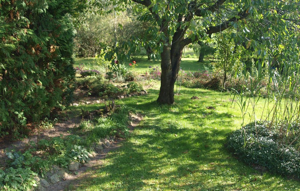 Semesterhus - Sagsdorf , Tyskland - DMV327 4