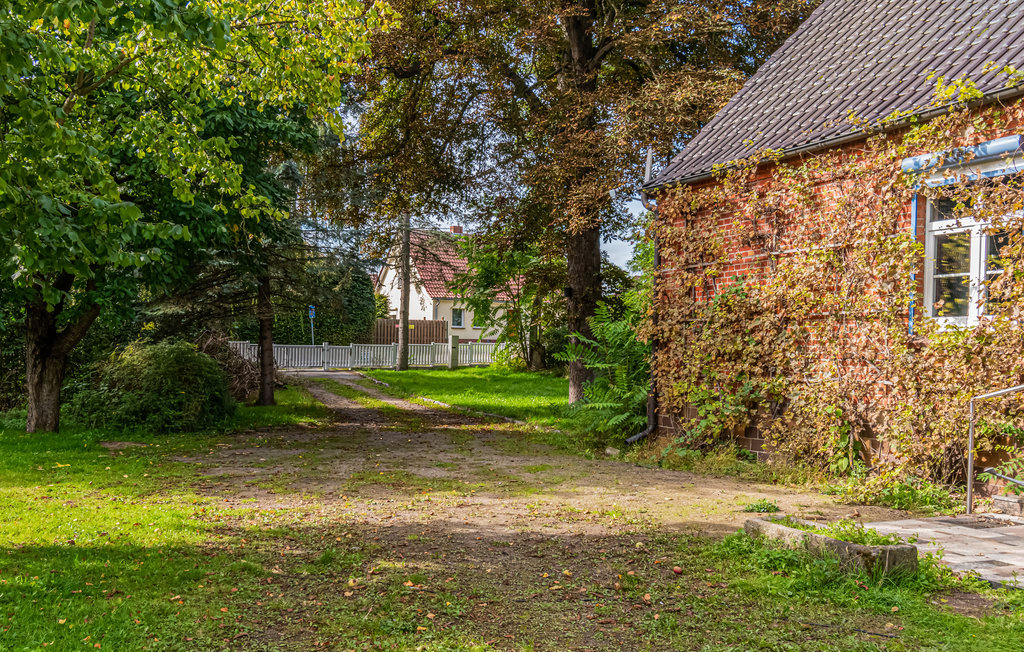 Ferienhaus - Neukloster , Deutschland - DMV502 9