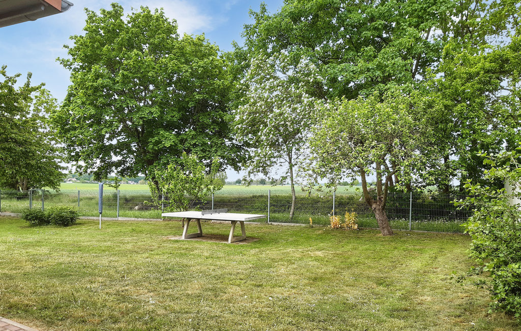 Ferienhaus - Behrenhoff b. Greifswald , Deutschland - DMV286 2