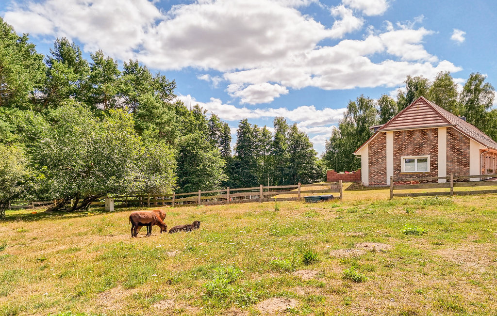 Ferieleilighet - Passow OT Charlottenhof , Tyskland - DMV571 12