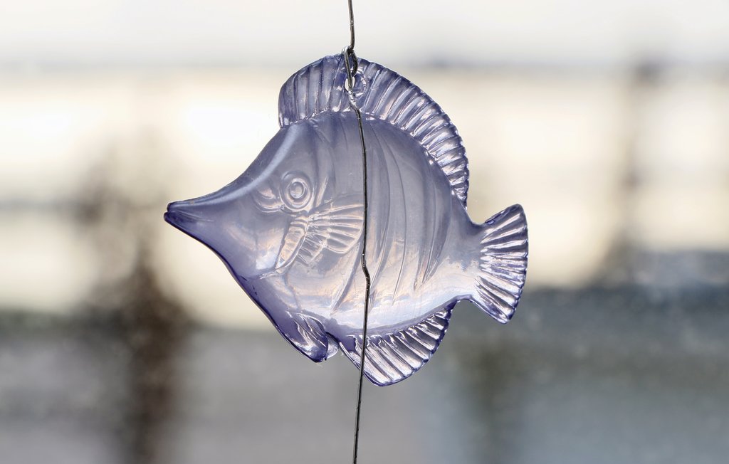 Semesterlägenhet - Rechlin/Müritz , Tyskland - DMV844 25