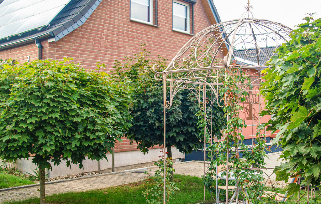 Feriehuse - Neubrandenburg, Mecklenburgisc , Tyskland - DMV480 2