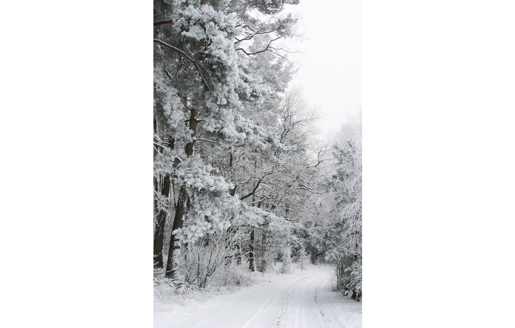 Ferienhaus - Priborn B. Röbel , Deutschland - DMV270 40