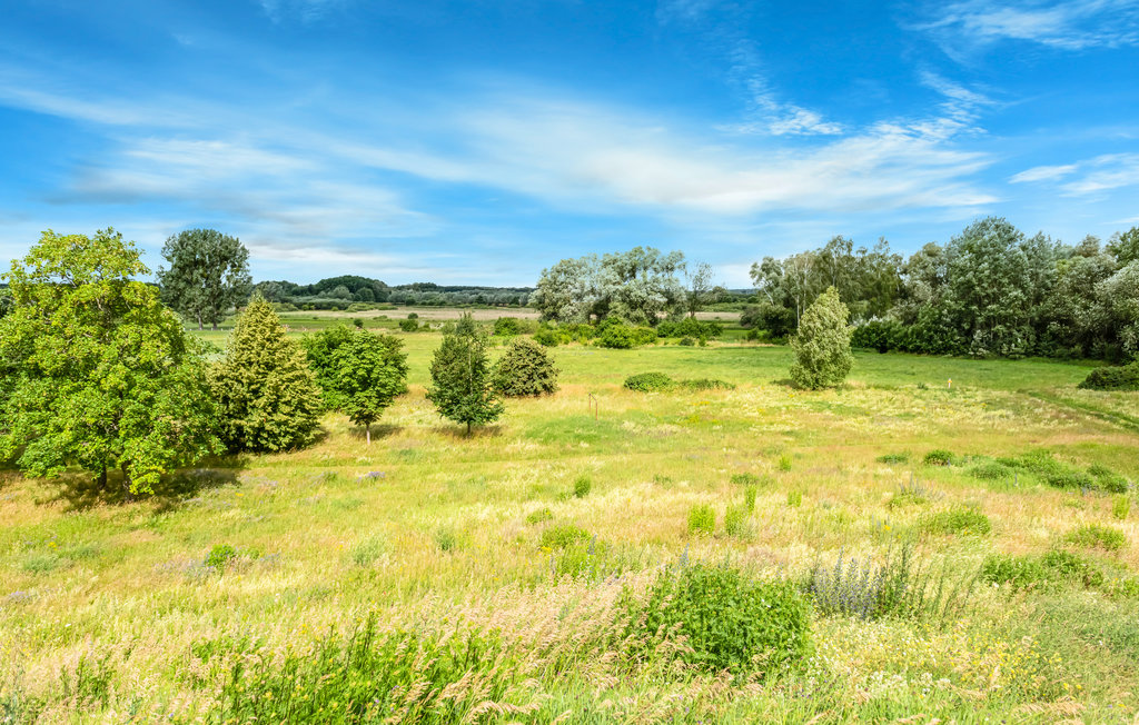 Ferieleilighet - Rechlin/Müritz , Tyskland - DMV882 31