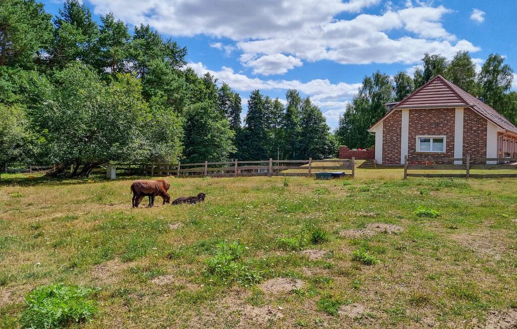 Ferieleilighet - Passow OT Charlottenhof , Tyskland - DMV577 10