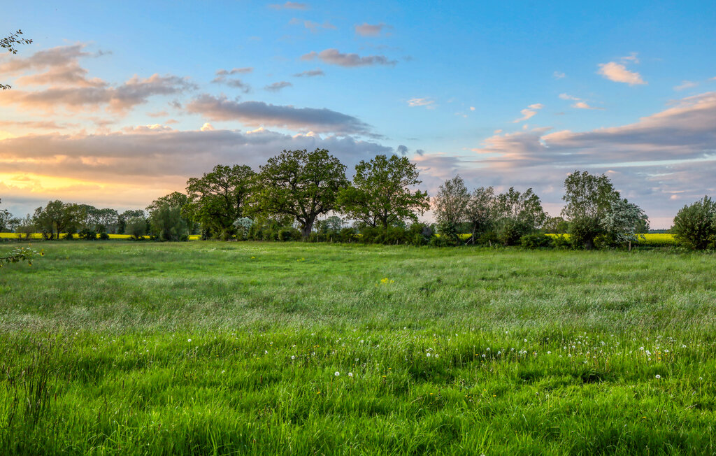 Lejlighed - Alpaka 3 Ferienwhg.- Schmatzin , Tyskland - DMV920 23