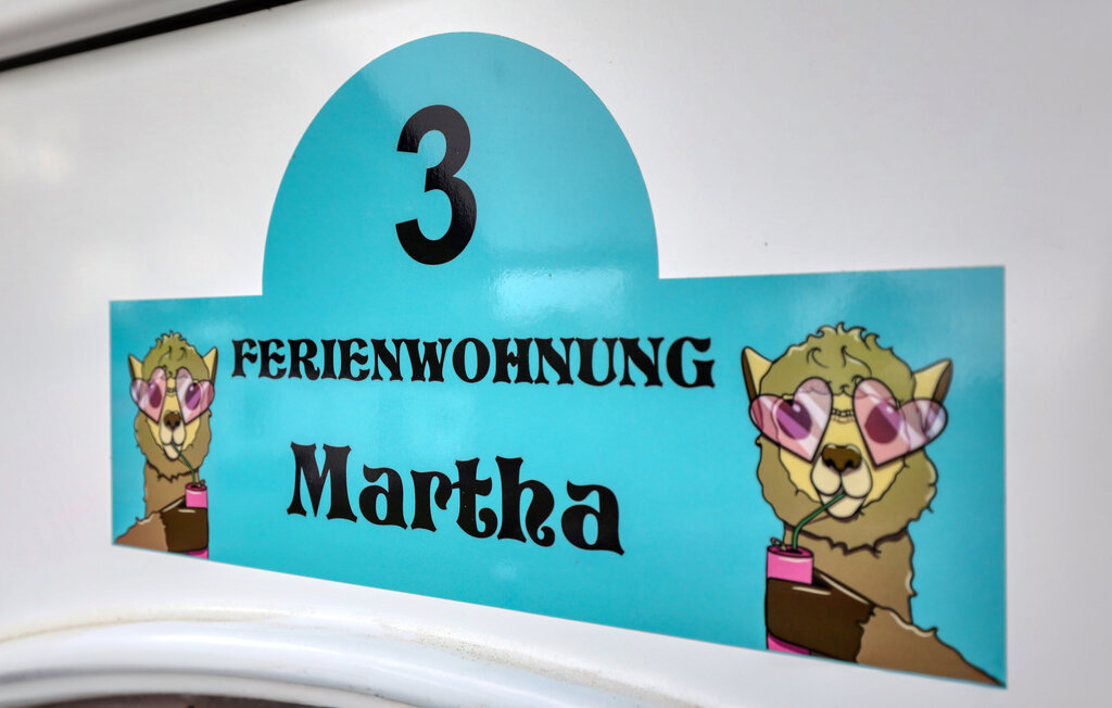 Ferieleilighet - Alpaka 3 Ferienwhg.- Schmatzin , Tyskland - DMV922 14