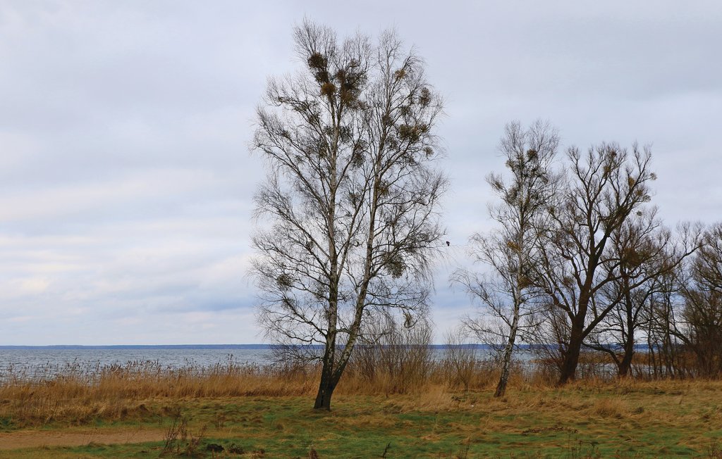 Genießen Sie Ihren Urlaub zwischen Wasser, Wind und Wellen und lassen Sie in einer unberührten Naturlandschaft die Seele baumeln. Im Erdgeschoss des Kapitänshauses liegen die Appartements „Garten..