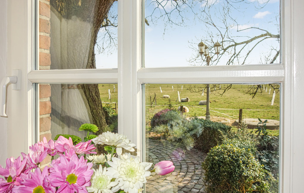 Semesterlägenhet - Detern - Ostfriesland , Tyskland - DNS226 7