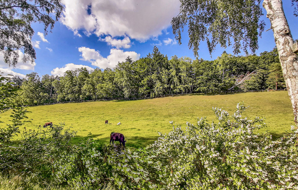 Feriehuse - Hamburg - Lüneburger Heide , Tyskland - DNS229 46
