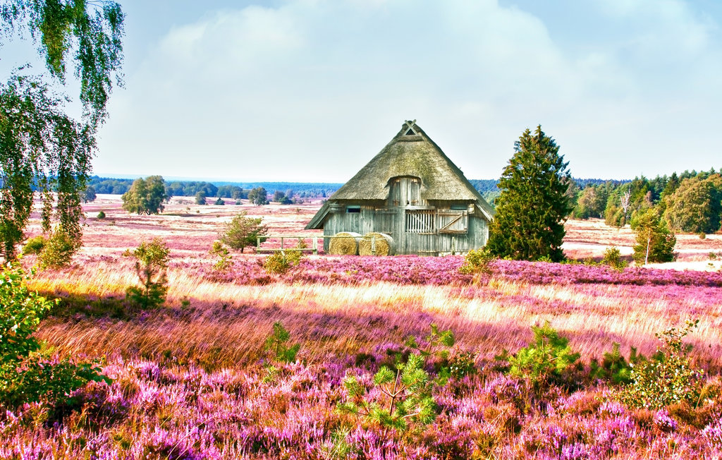 Feriehuse - Hamburg - Lüneburger Heide , Tyskland - DNS229 7