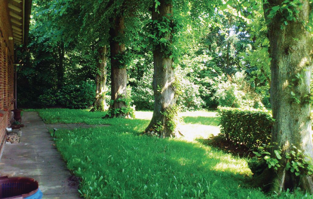 Ferieleilighet - Wingst , Tyskland - DNS157 4