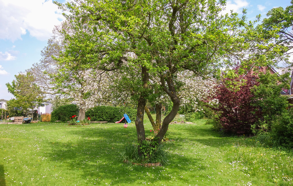 Ferienwohnung - Wremen- Wurster Nordseeküste , Deutschland - DNS279 7