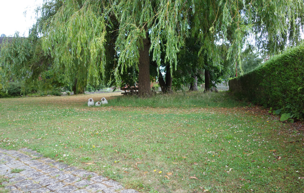 Bild 9 Bild 9
