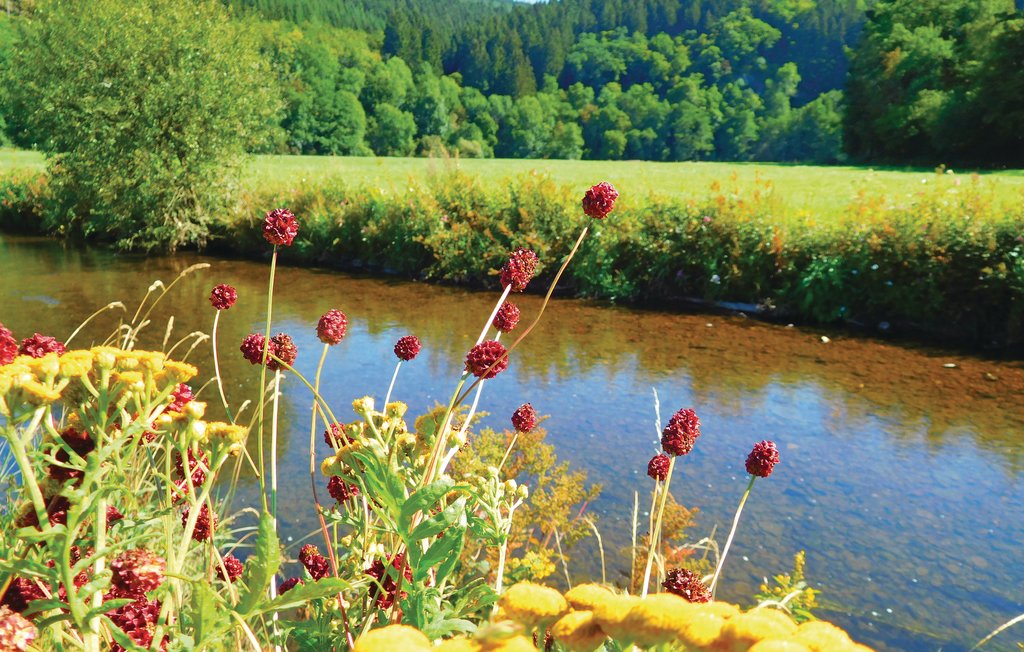 Ferienwohnung - Bad Berleburg-Berghausen , Deutschland - DNW821 18