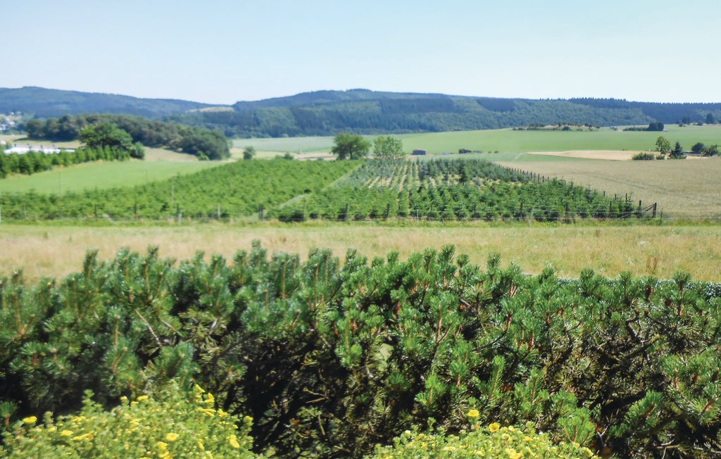 Semesterlägenhet - Medebach , Tyskland - DNW157 15