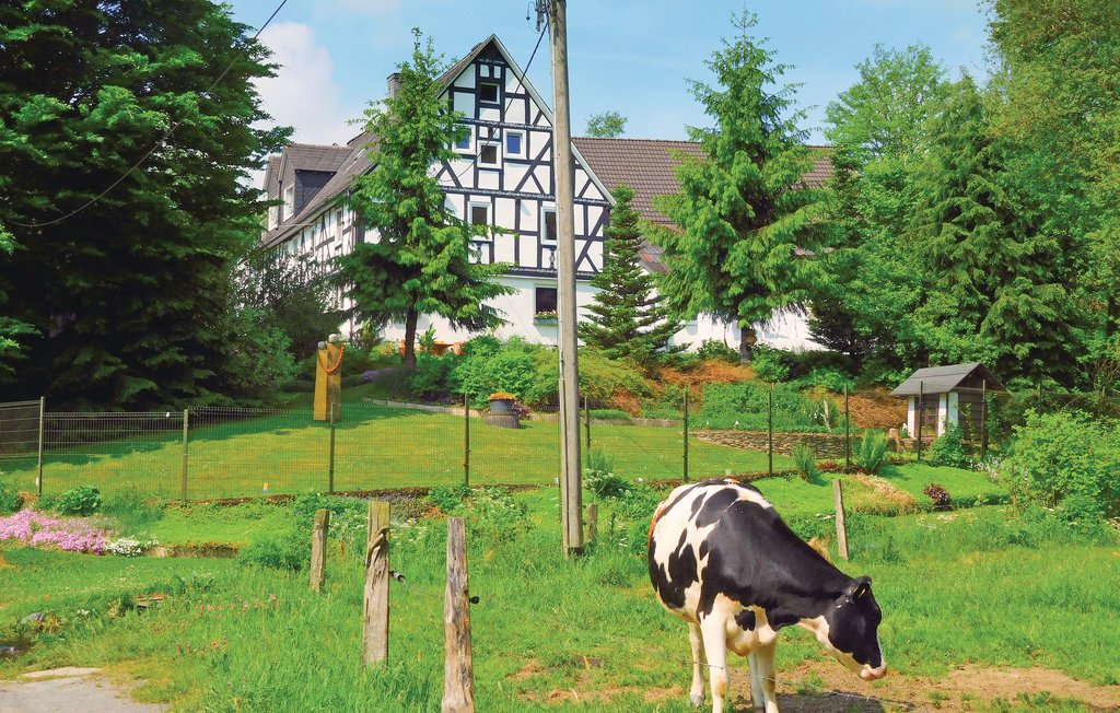 Ferieleilighet - Bad Berleburg-Berghausen , Tyskland - DNW822 7
