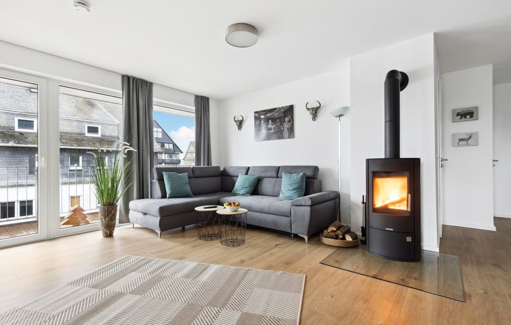 Ferienwohnung - Winterberg , Deutschland - DNW303 3
