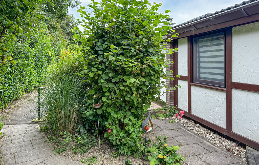 Ferienhaus - Meschede , Deutschland - DNW116 15