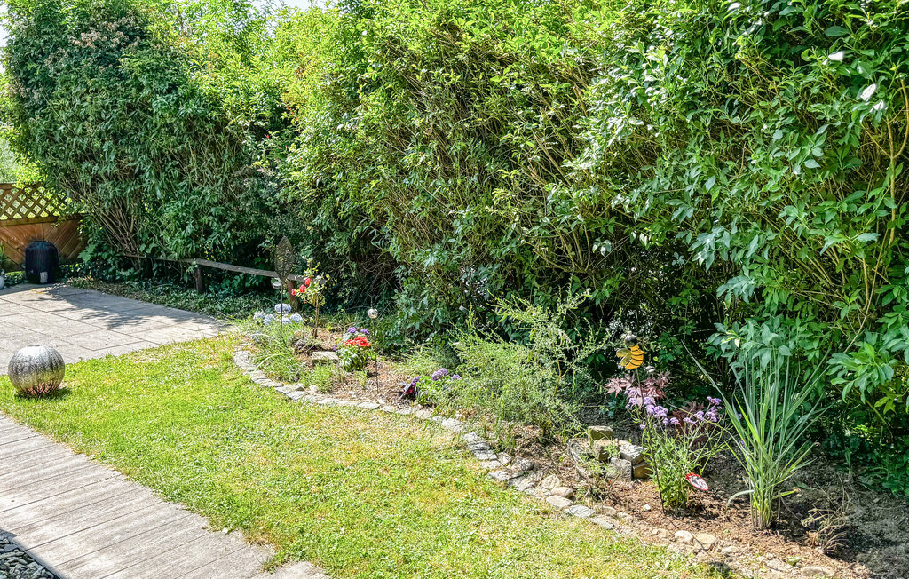 Ferienhaus - Meschede , Deutschland - DNW116 18