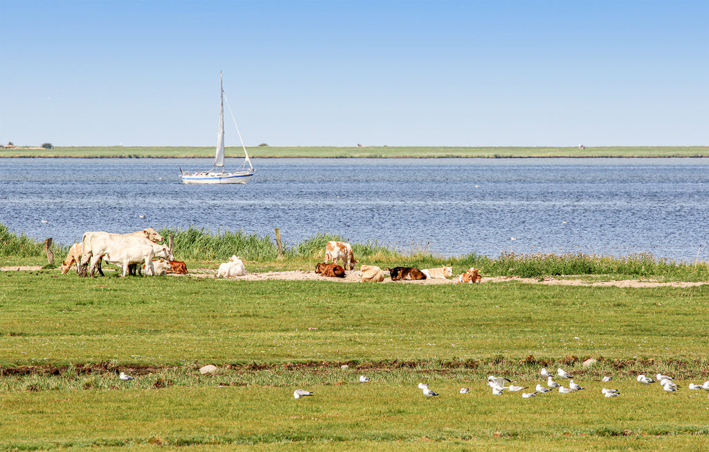 Feriehuse - OstseeResort Olpenitz , Tyskland - DOP176 22