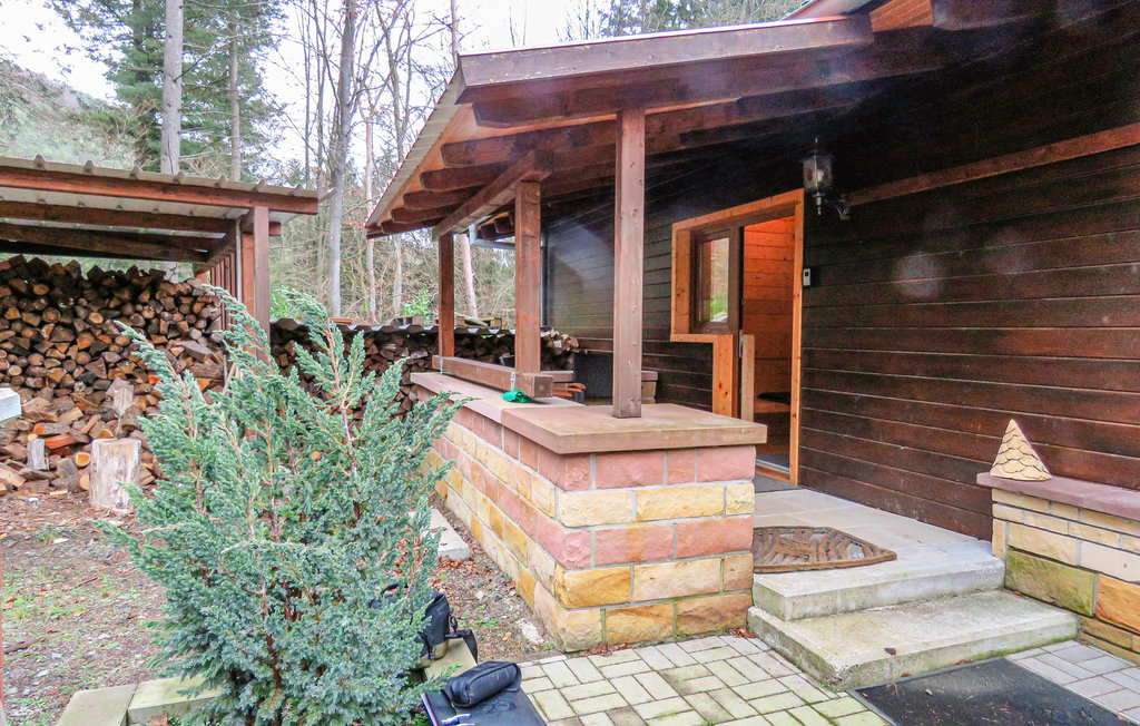 Semesterhus - Pfälzer Wald/Südwestpfalz , Tyskland - DPW104 8