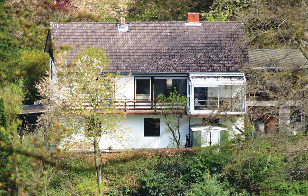 Bild 2 Bild 2