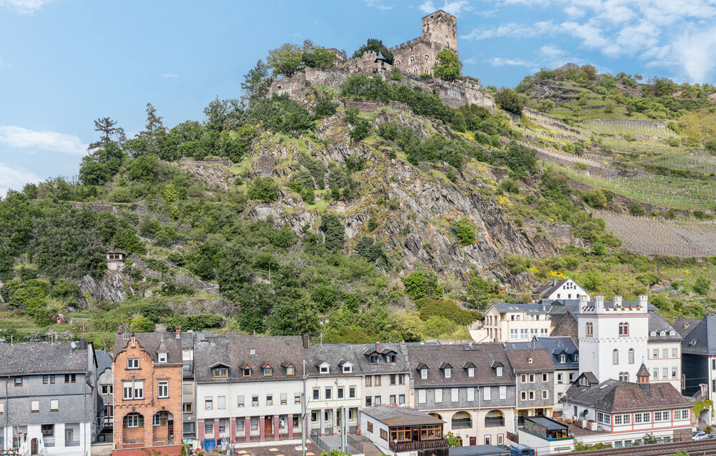 Ferienwohnung - Kaub , Deutschland - DRP163 7