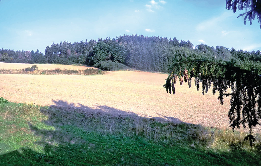 Feriehuse - Weischlitz , Tyskland - DSA234 5