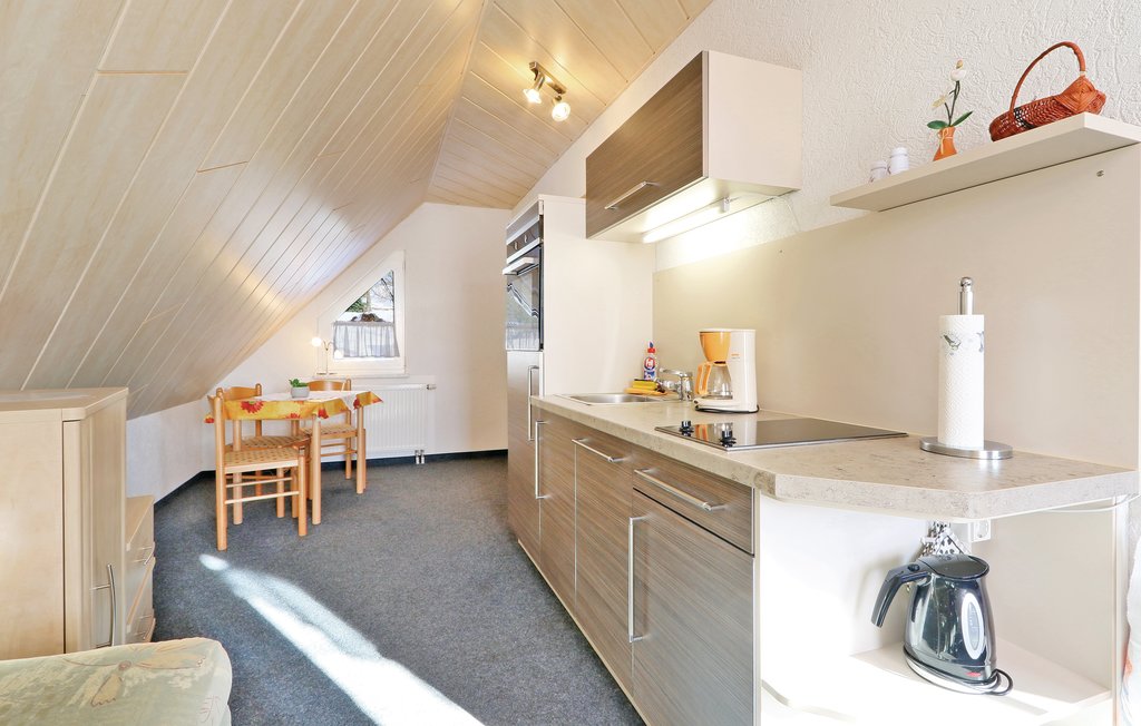 Ferienhaus - Auerbach , Deutschland - DSA236 16