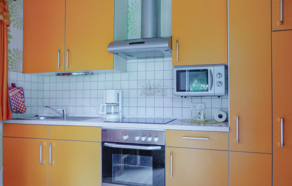 Ferienhaus - Trieb , Deutschland - DSA210 10