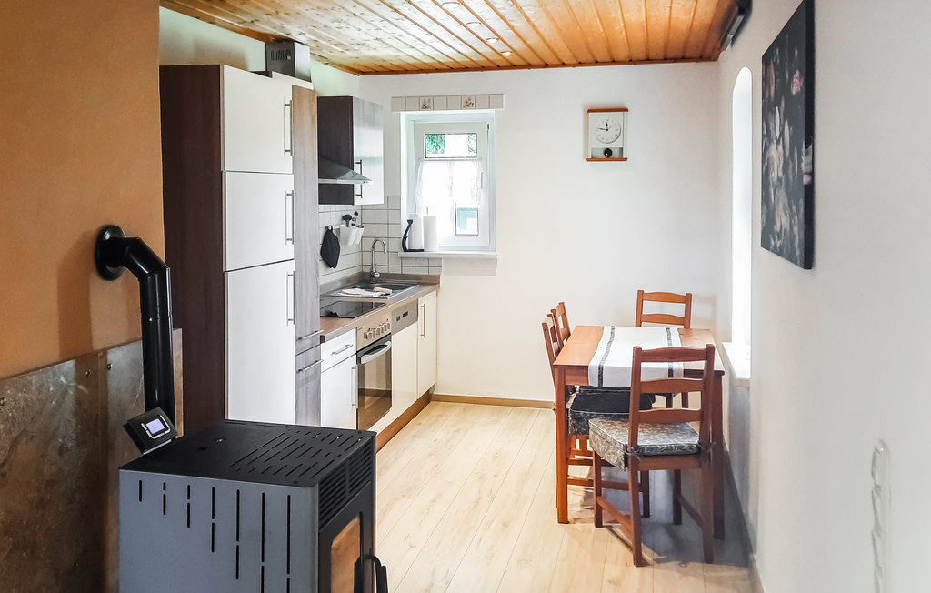 Ferienhaus - Falkenstein , Deutschland - DSA238 5