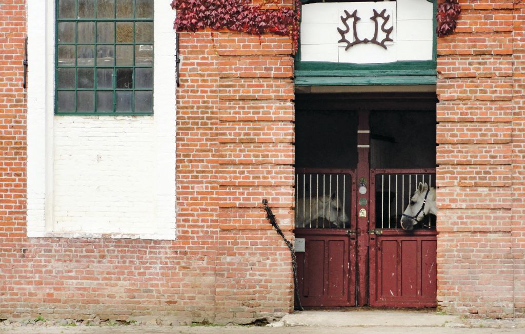 Holiday rental Waabs/Gut Ludwigsburg , Germany Novasol