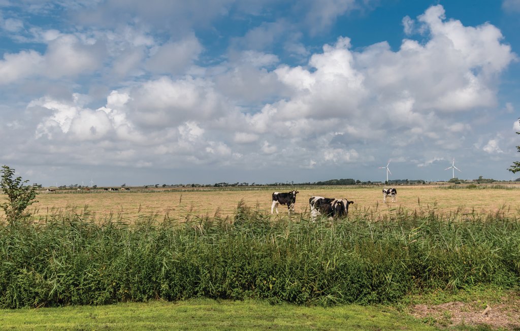 Feriehus - Dagebüll , Tyskland - DSH387 11