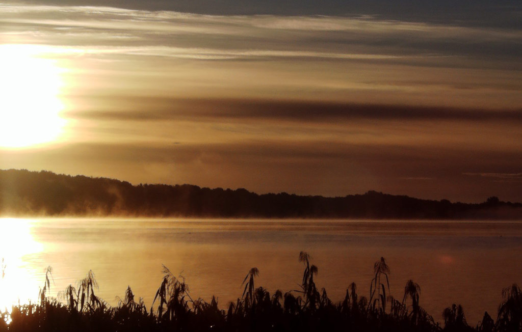 Ferienwohnung - Wittensee/Naturpark , Deutschland - DSH235 14