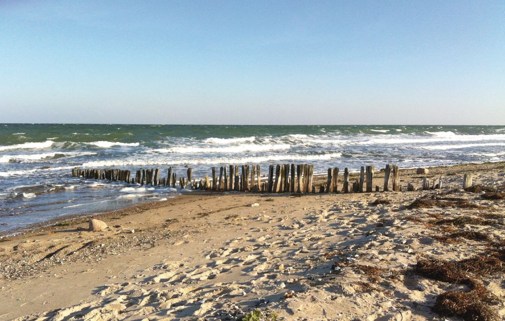 Semesterhus - Süssauer Strand/Ostsee , Tyskland - DSH791 34
