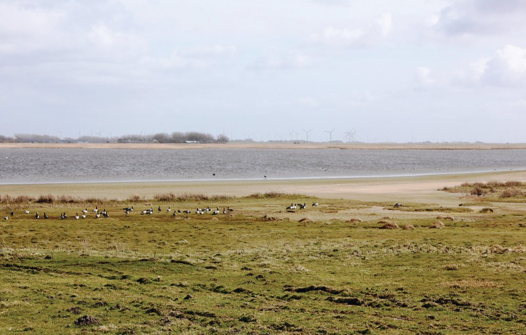 Feriehus - Dagebüll , Tyskland - DSH904 31