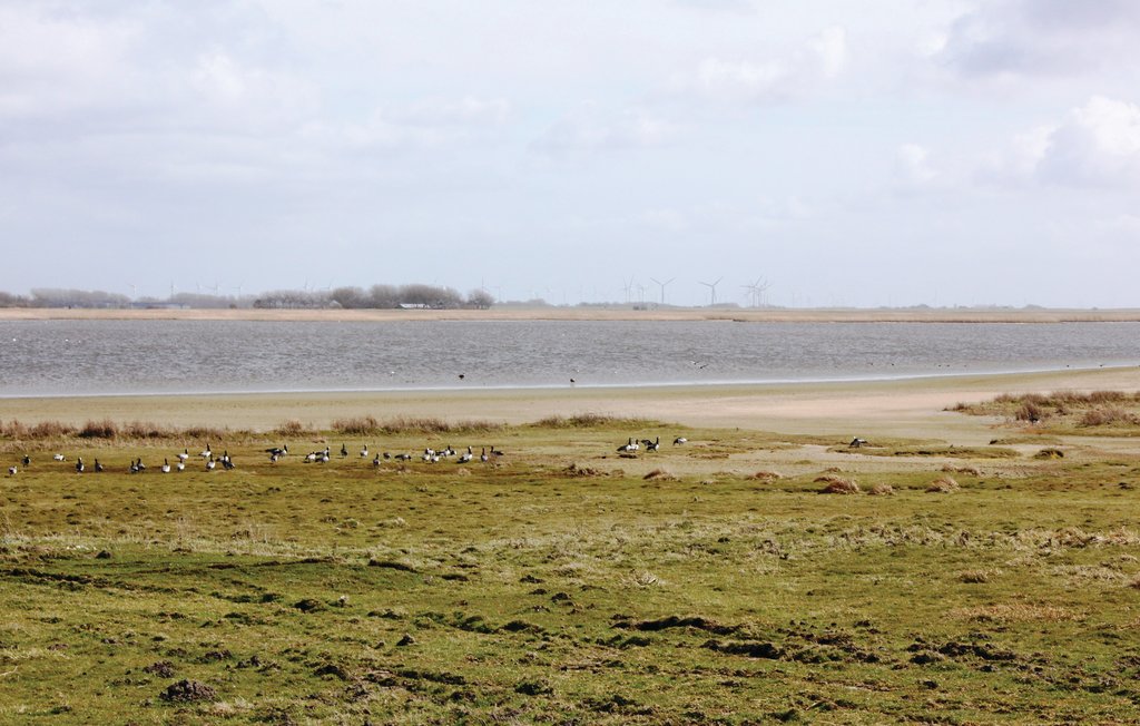 Feriehuse - Dagebüll , Tyskland - DSH905 34