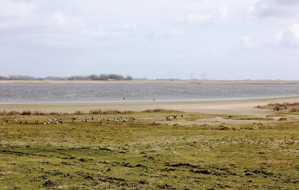 Feriehus - Dagebüll , Tyskland - DSH906 32