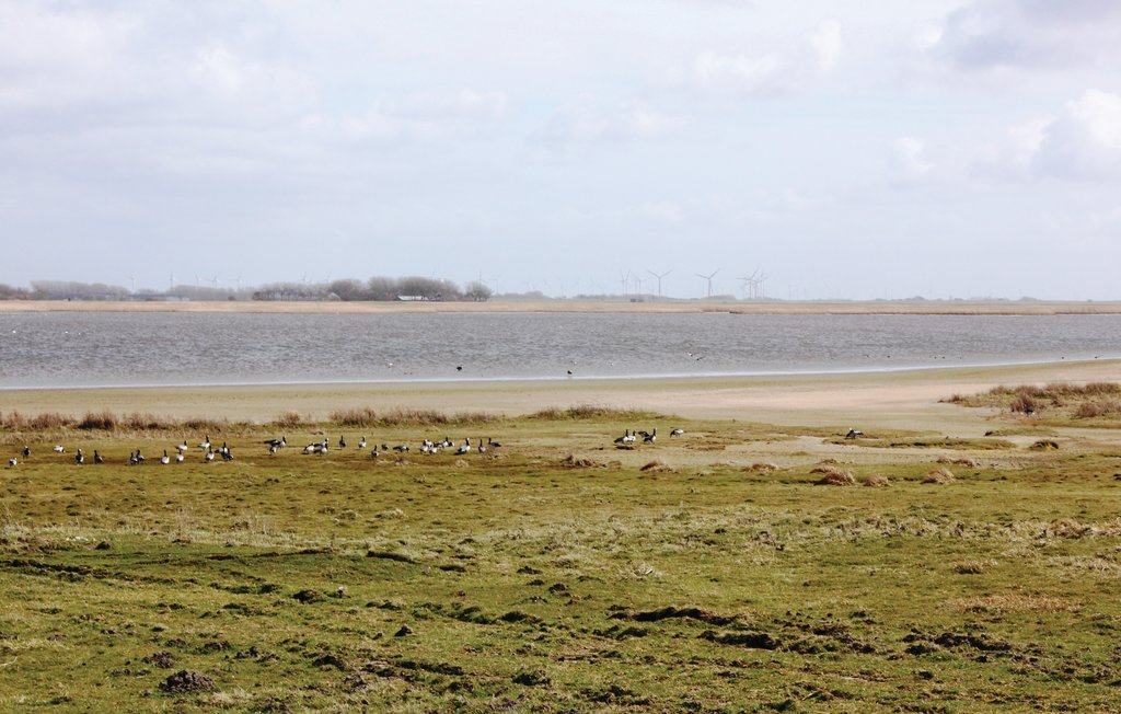 Ferienhaus - Dagebüll , Deutschland - DSH907 30