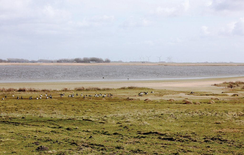 Feriehus - Dagebüll , Tyskland - DSH908 32