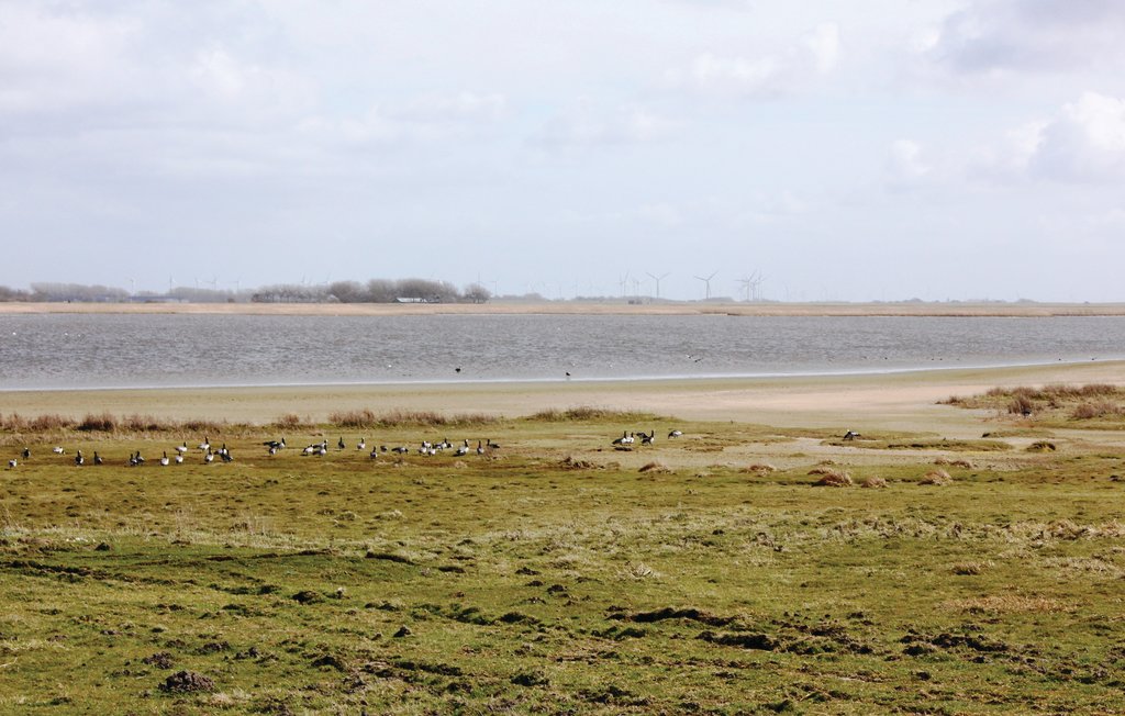 Feriehus - Dagebüll , Tyskland - DSH912 35