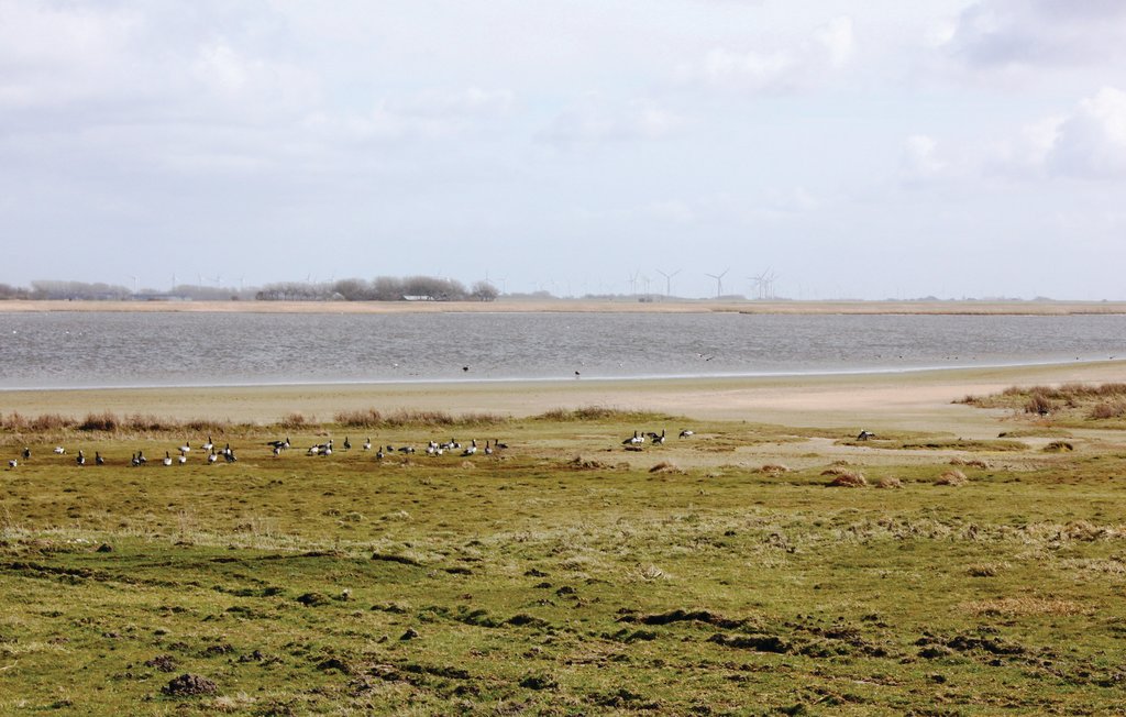 Feriehus - Dagebüll , Tyskland - DSH915 34