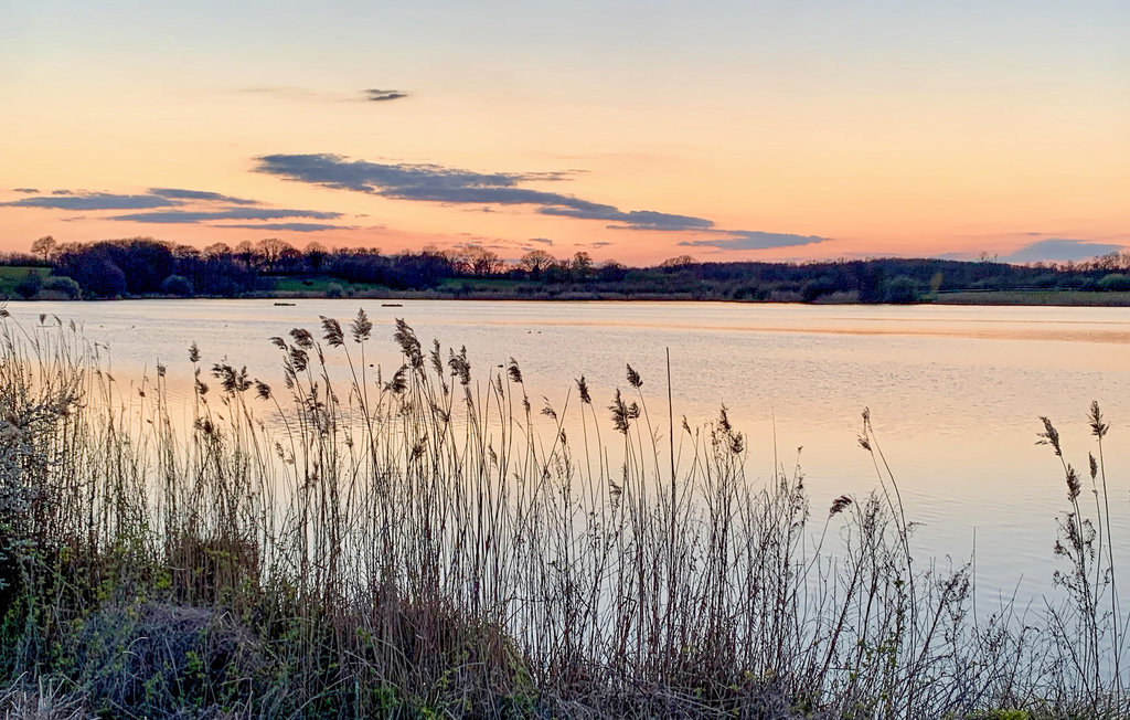 Ferienhaus - Süsel , Deutschland - DSH073 13