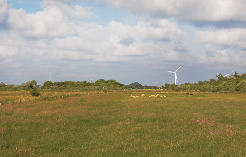 Feriehuse - Dagebüll , Tyskland - DSH963 17