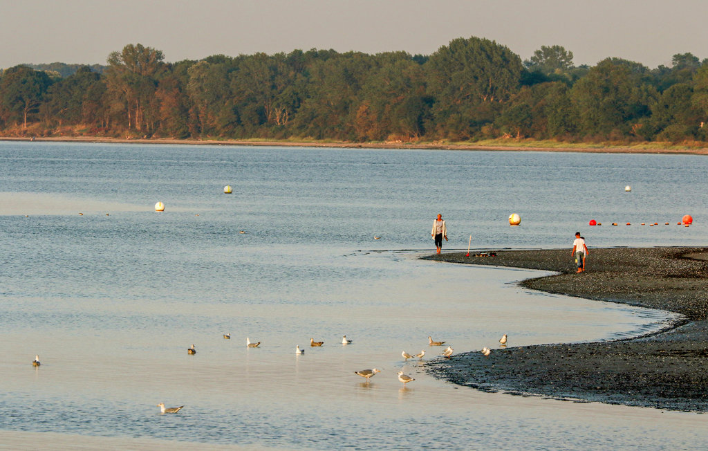 Semesterlägenhet - Travemünde-Priwall , Tyskland - DSH532 5